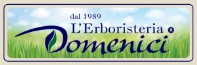 logo domenici